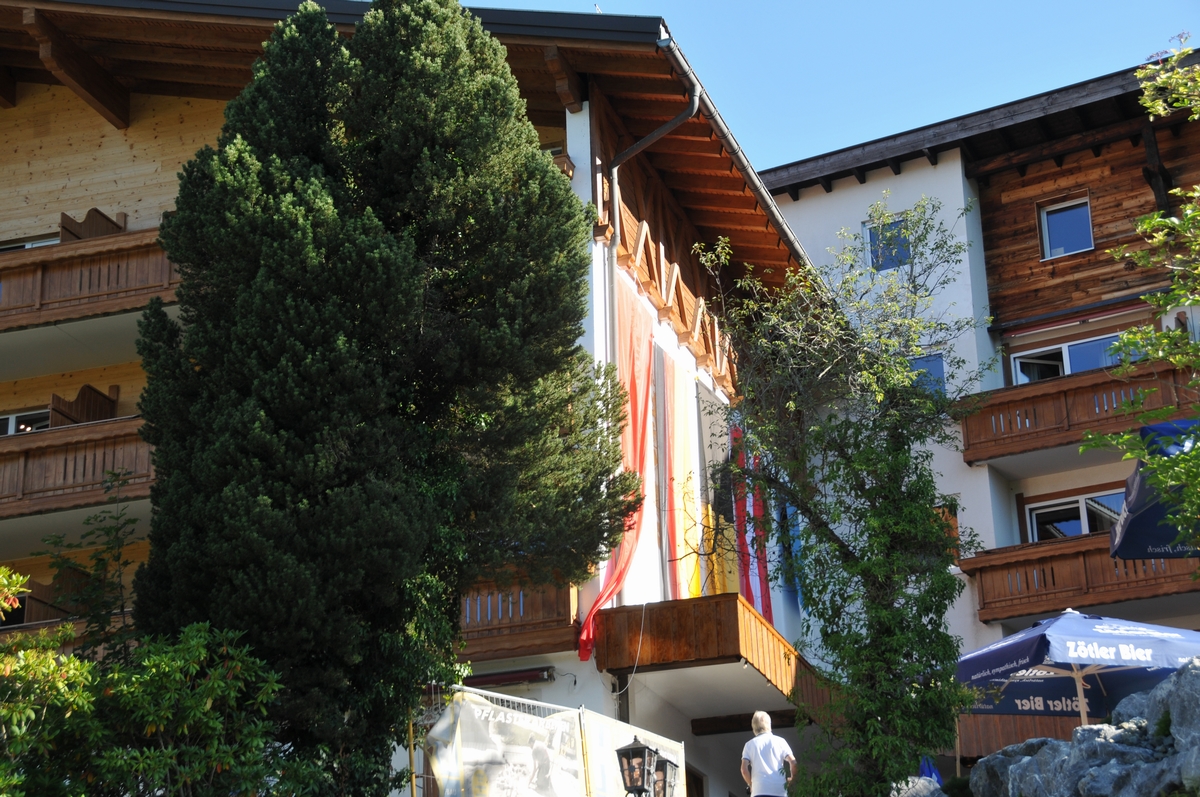 n_dsc_4403.jpg